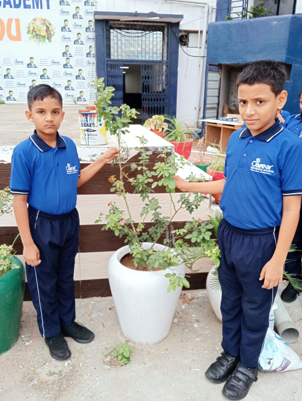 CDS Ambala || Activity- Parts of the plant || Class 3rd