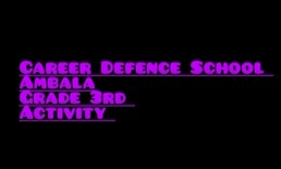 CDS Ambala || Activity- Race to the Seat 