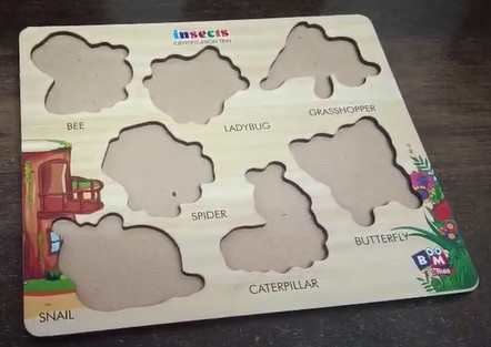 CDS Ambala || Activity - Types of Insects || Class 1st