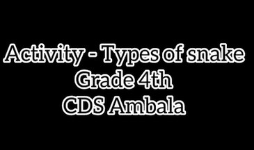 CDS Ambala || Activity - Types of snakes || Grade -4th 