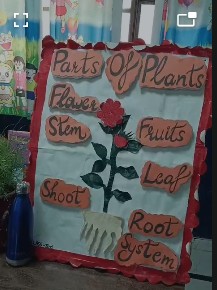 CDS Ambala || Avtivity- Parts of a plant || Class 1st & 2nd 