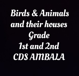 CDS Ambala || Acxtivity- Birds & animals  And their houses || Grade 1st and 2nd 