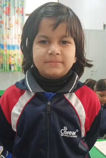 CDS Ambala || Computer classes  Revision of MCQs || Class 2nd 