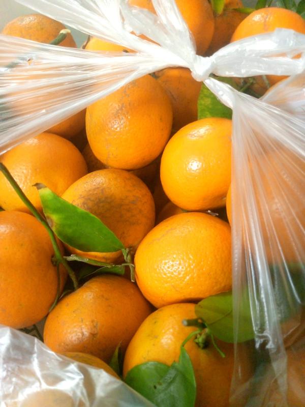 CDS Yamunanagar Menu